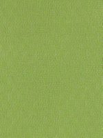 232 грн, Чип фисташка